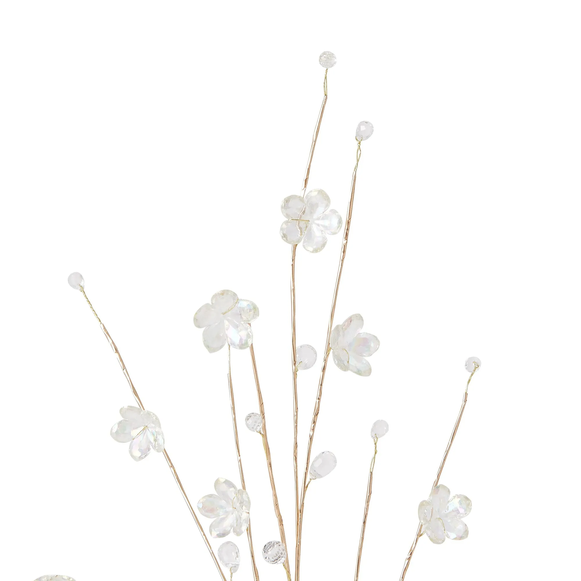 Art Plants Flower Beads Aurora