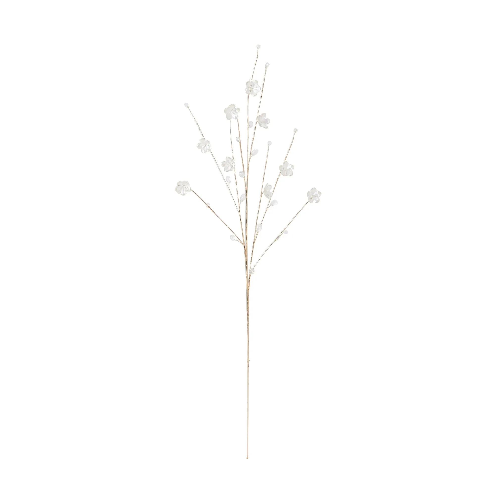 Art Plants Flower Beads Aurora