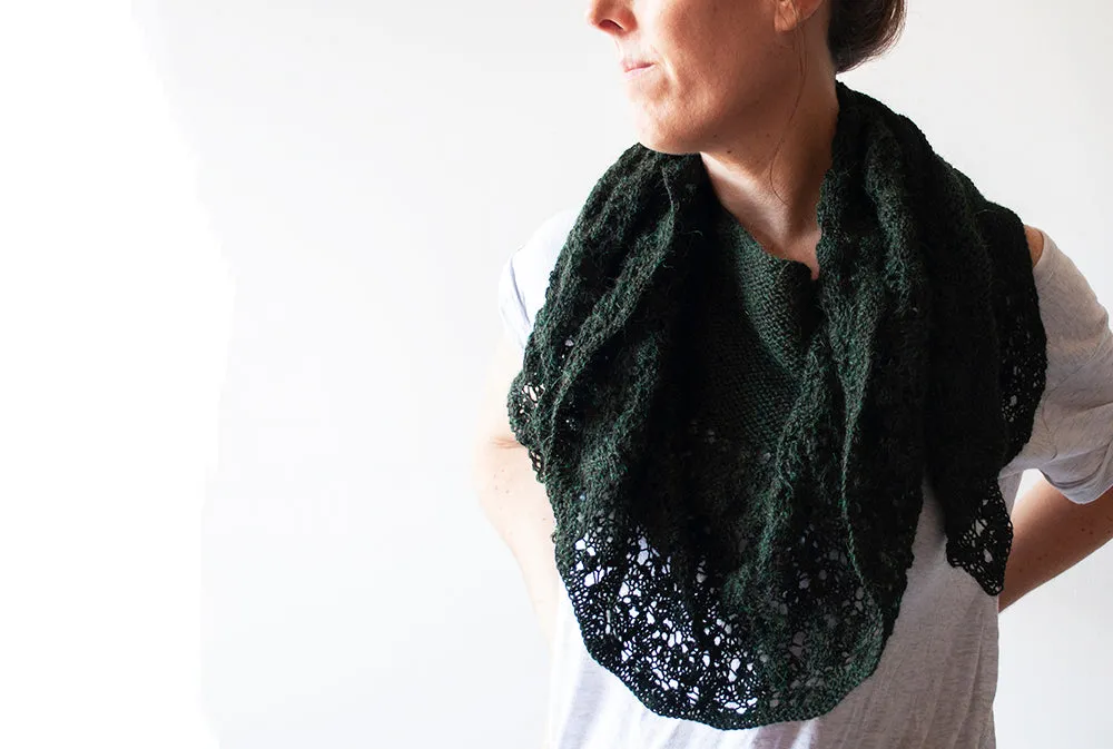 Botanical Garden Shawl