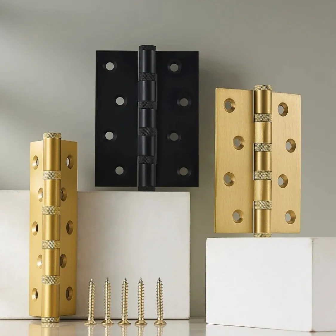Cariya Door Hinge