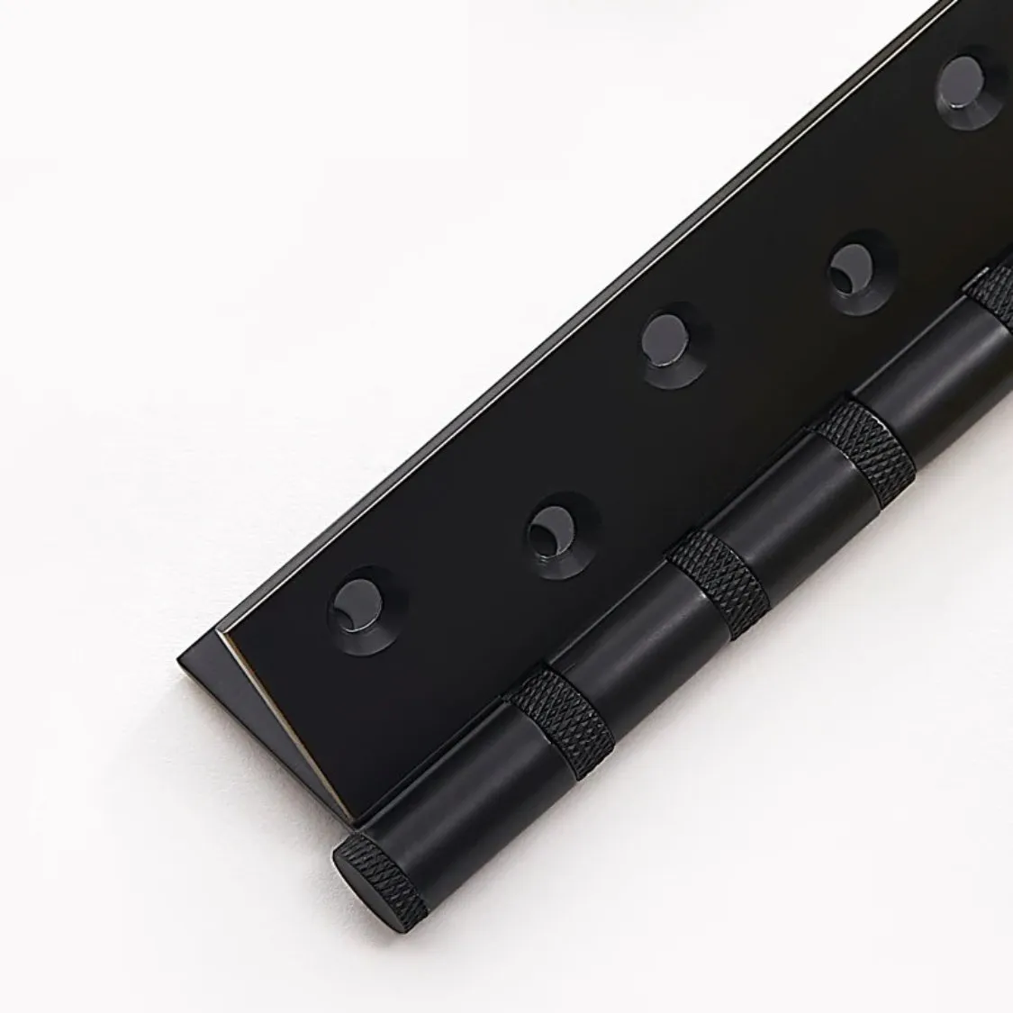 Cariya Door Hinge
