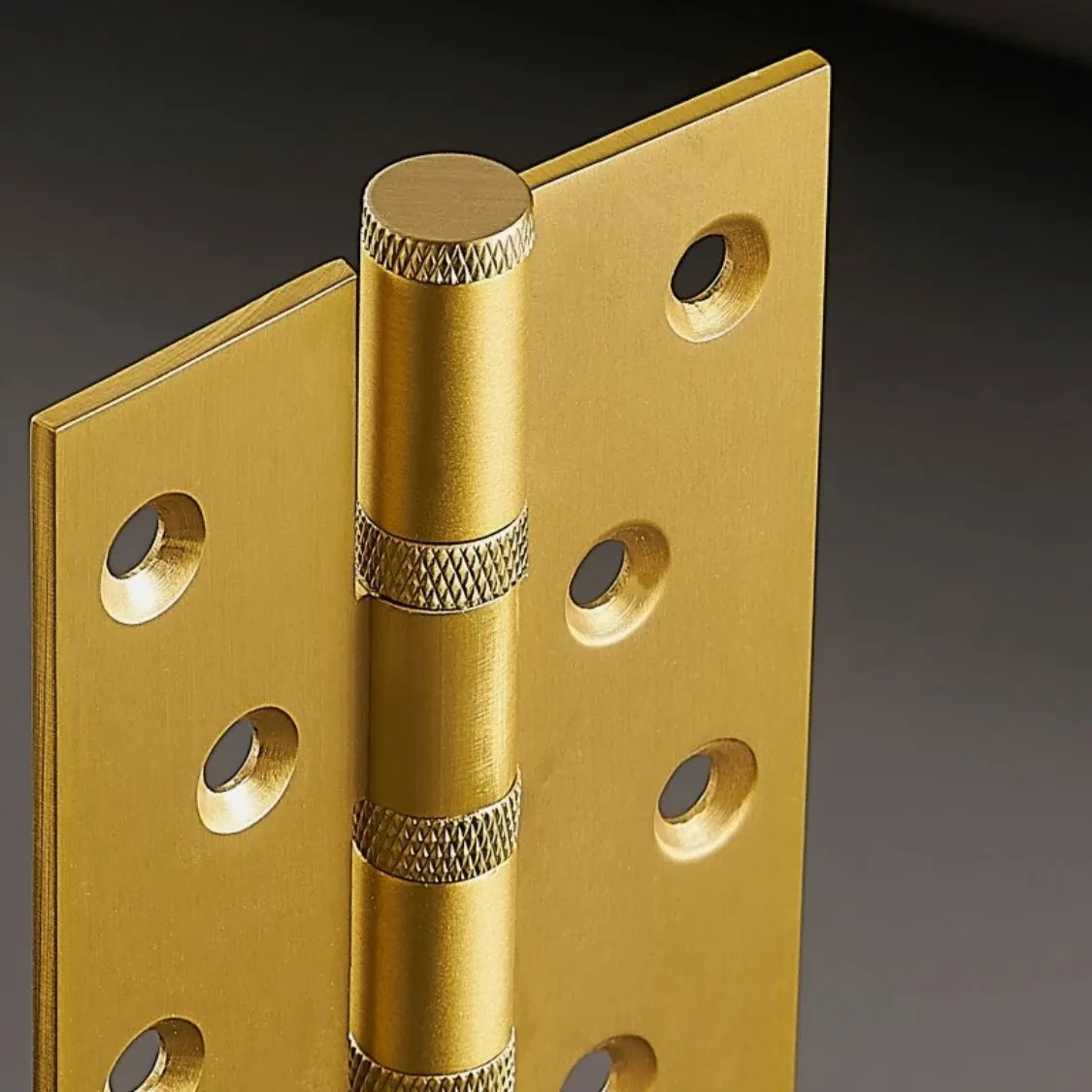 Cariya Door Hinge
