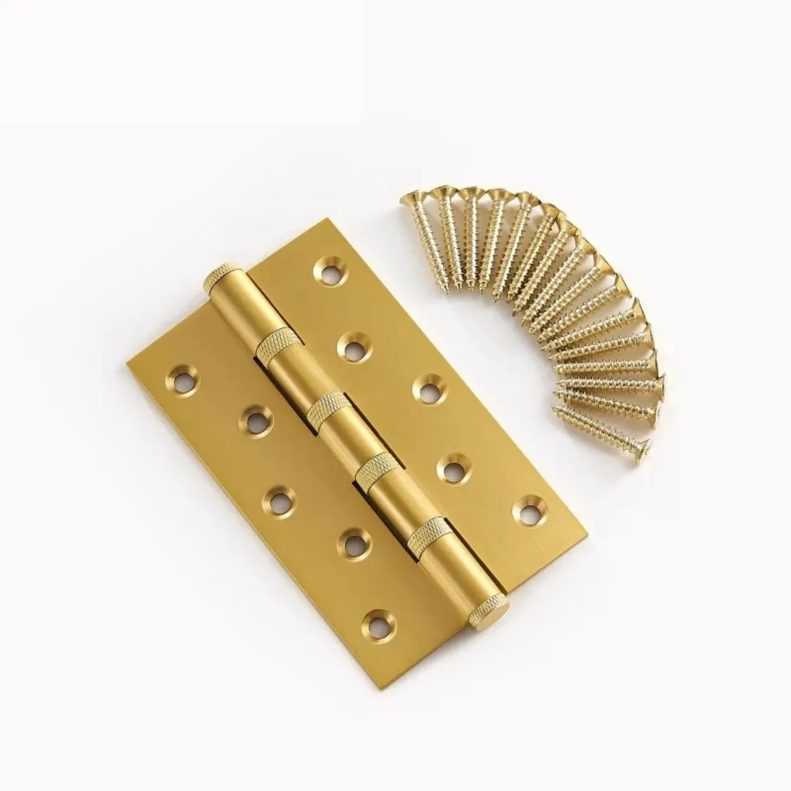 Cariya Door Hinge
