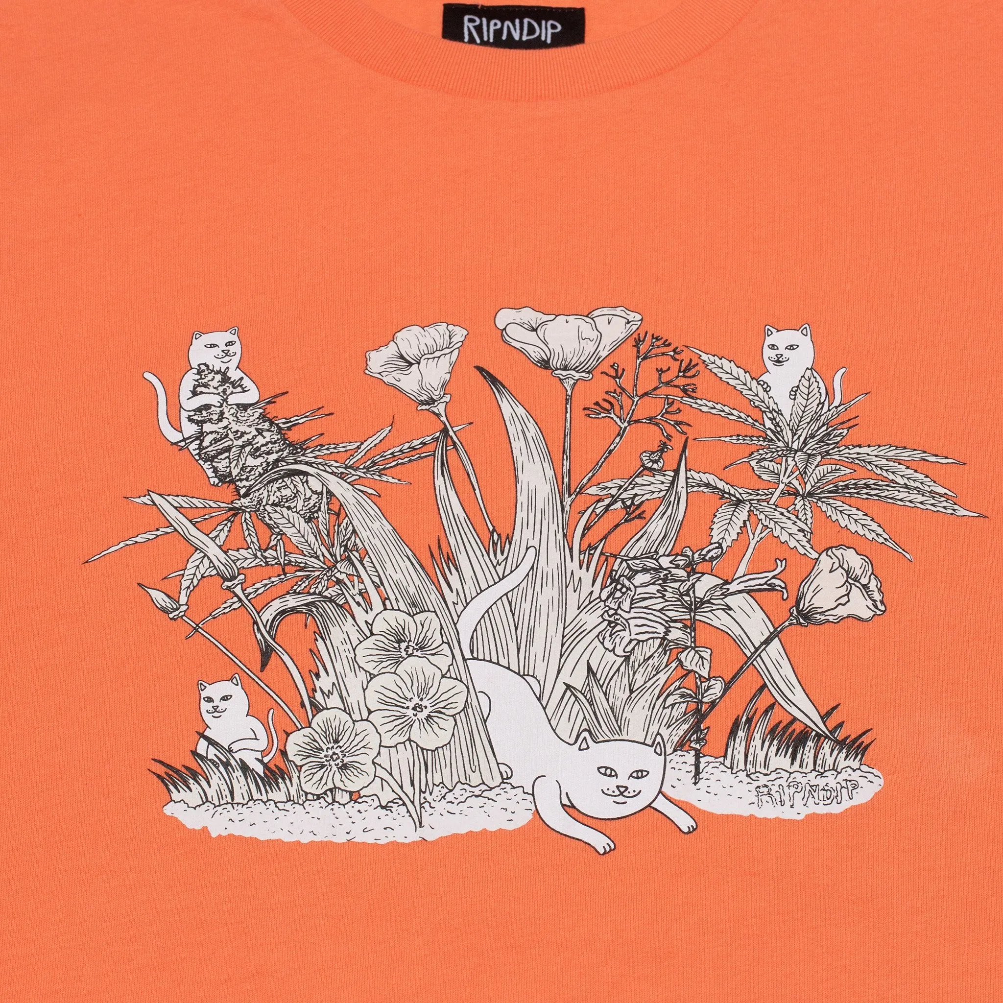 Nerm Paradise UV L/S (Salmon)