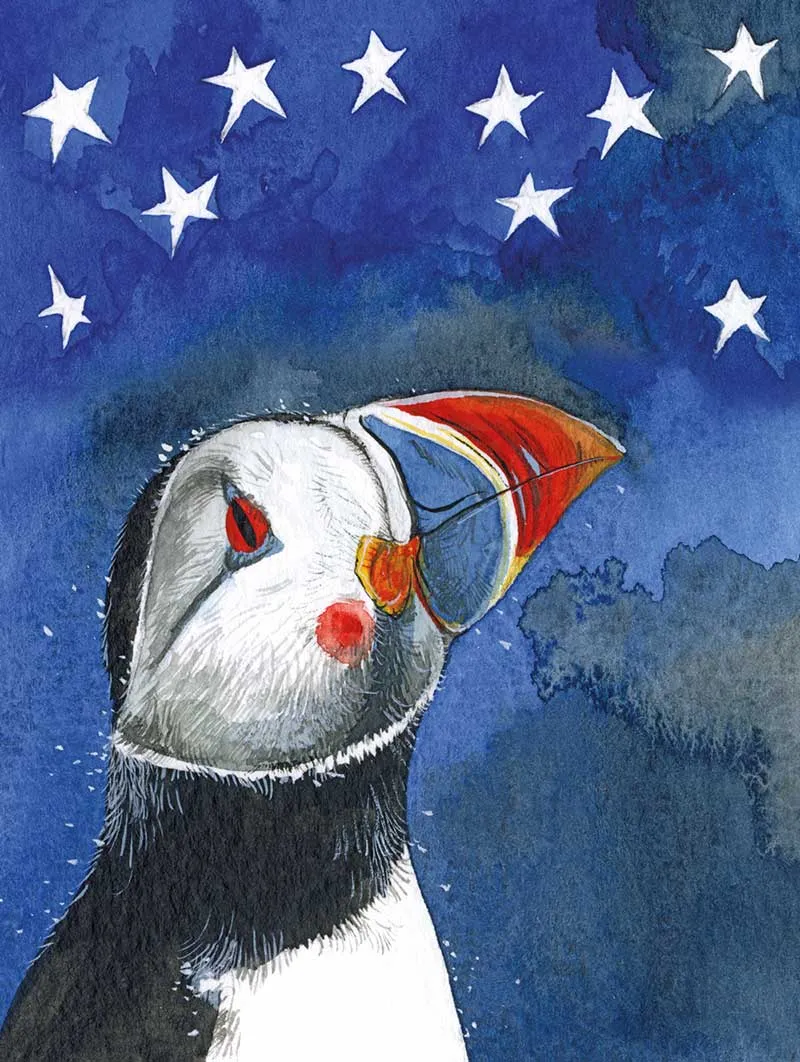 SCN28 Puffin Small Chunky Notebook By Alex Clark Art