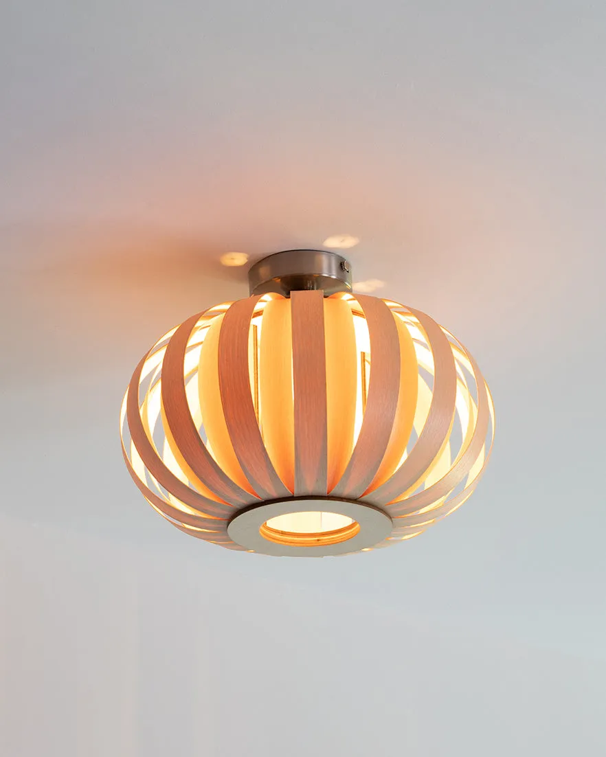 Modern Urchin Design Small Flush Mount Ceiling Light Fixture