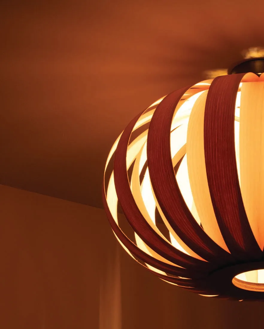Modern Urchin Design Small Flush Mount Ceiling Light Fixture